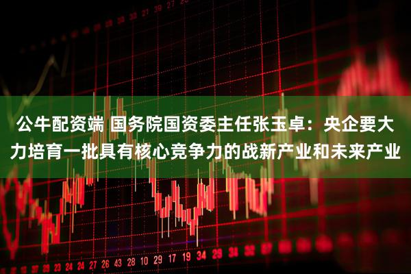 公牛配资端 国务院国资委主任张玉卓：央企要大力培育一批具有核心竞争力的战新产业和未来产业
