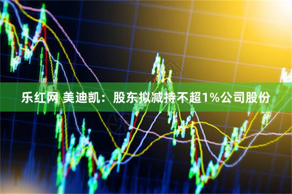 乐红网 美迪凯：股东拟减持不超1%公司股份